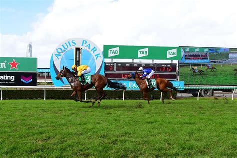 aquis park races today|Gold Coast Racecourse .